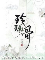 《玲珑骨》全本TXT下载-作者：宁归