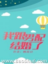 我跟男配结婚了