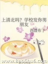 《上清北吗？学校发你男朋友》全本TXT下载-作者：西澄布丁