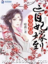 盲妃嫁到王爷别挡道