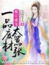 魔帝盛宠：一品废材太嚣张小说