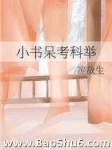 《小书呆考科举》全本TXT下载-作者：凉故生