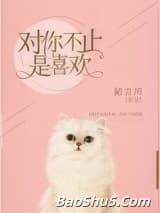 对你不止是喜欢