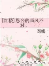 [红楼]恩公的画风不对！