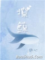 撩鲸