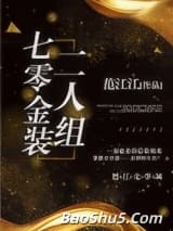 七零金装二人组