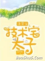 清穿之技术宅太子