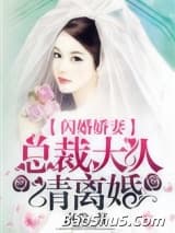 闪婚娇妻：总裁大人请离婚