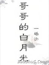 哥哥的白月光