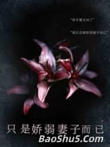 只是娇弱妻子而已