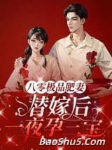 八零极品肥妻，替嫁后一夜孕三宝