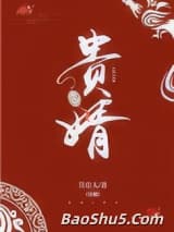 贵婿