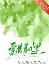 爱藏夏风里