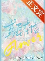 鸢尾花信