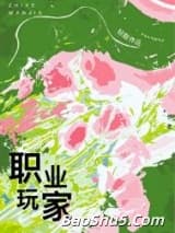 职业玩家