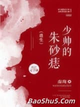 少帅的朱砂痣[重生]