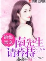 缠绵蜜宠：南先生，请矜持