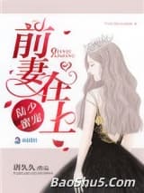 陆少蜜宠：前妻在上