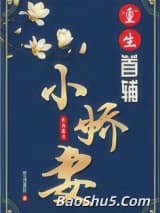 重生首辅小娇妻