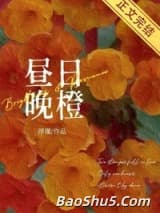 昼日晚橙