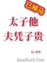 太子他夫凭子贵