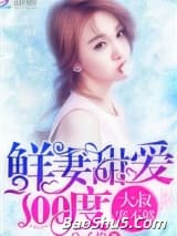 鲜妻甜爱100度：大叔，宠不够