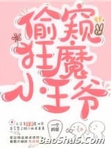 日常偷窥的小王爷