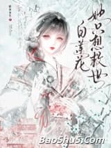 白莲花她只想救世
