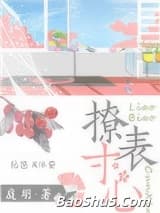 撩表寸心