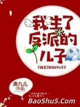 我生了反派的儿子