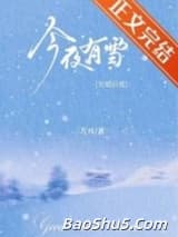 今夜有雪[先婚后爱]