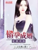 错孕成婚，爱妻成瘾