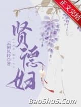 贤德妇