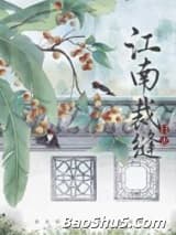 江南裁缝日志