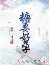 糖妻好孕