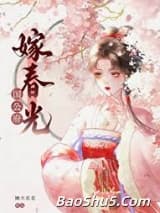 国公府嫁春光