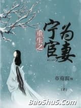 重生之宁为宦妻