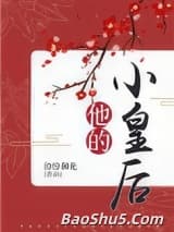 他的小皇后