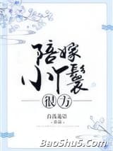 陪嫁小丫鬟很方