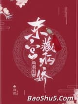 东宫藏病娇（重生）
