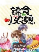锦食小农媳