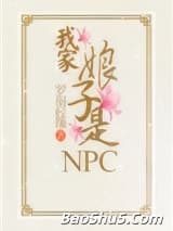 我家娘子是NPC