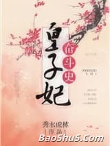 皇子妃奋斗史
