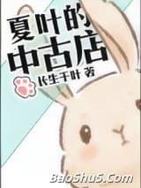 夏叶的中古店